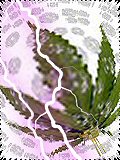 m3.jpg - 11kb